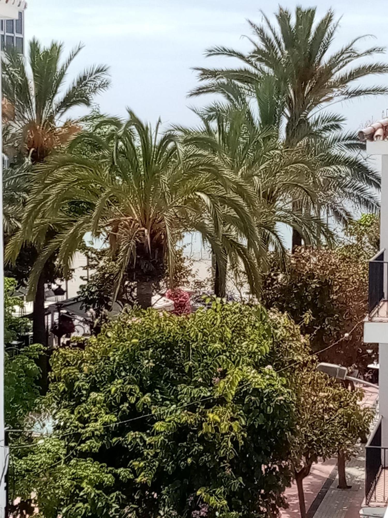 Beach Apartments Old Town Estepona Extérieur photo